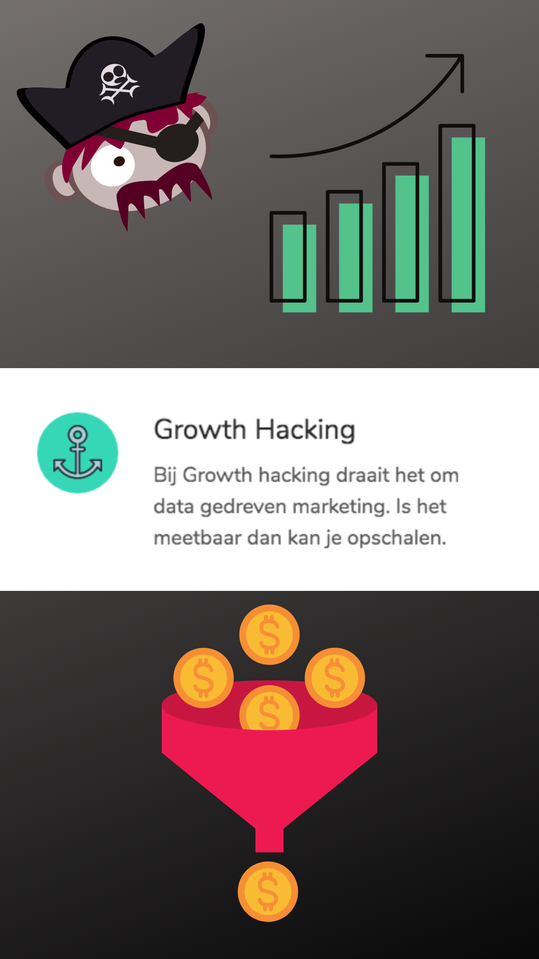 Inzetten van Growth Hacking